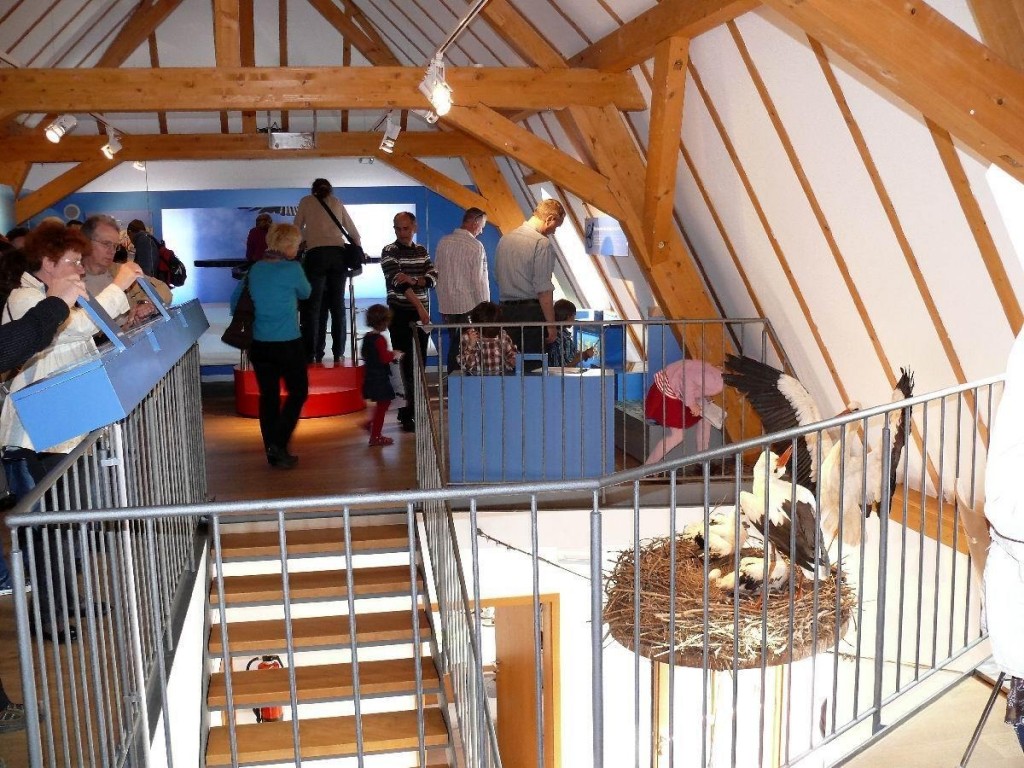 Das Storchenzentrum in Bornheim. Foto: red
