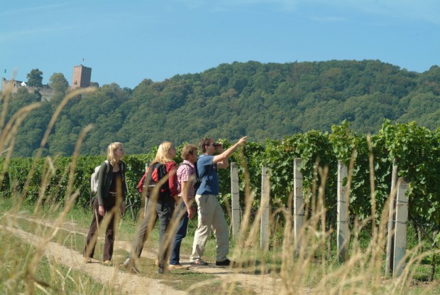 Wandern Südpfalz