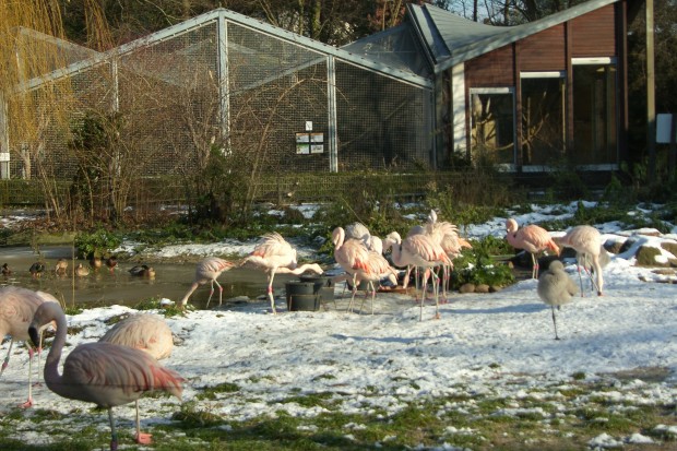 Familienpass-Zoo