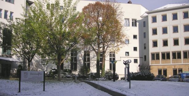 MWVLW_Winter