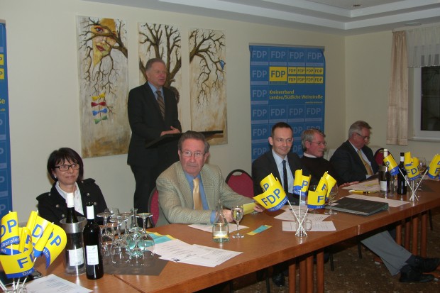 FDP-Kreisparteitag-Podium/Ahme