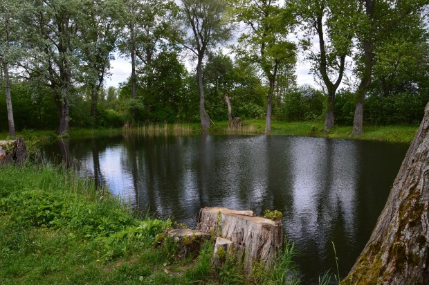 Fotowettbewerb Hagenbach-2