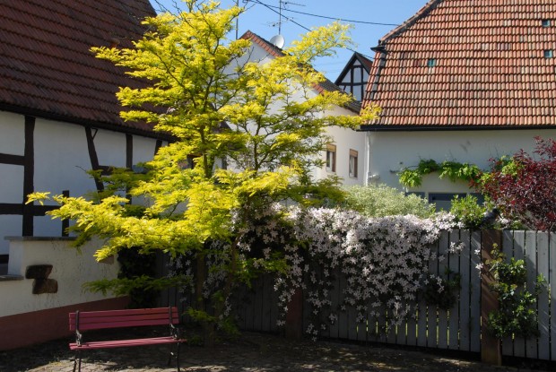 Fotowettbewerb hagenbach