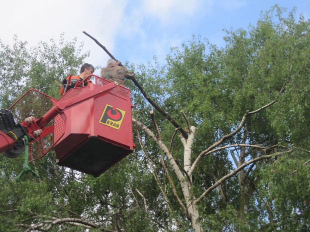 Storchennest