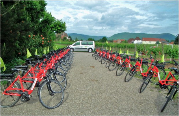 genussradeln-pfalz - red- -lifepr