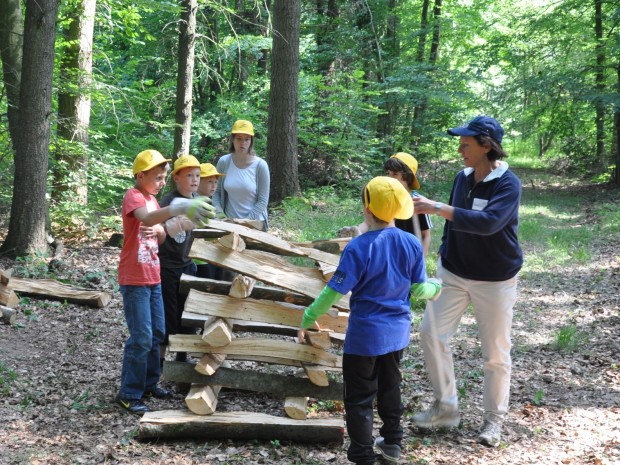 Bienwaldspiele2013_Aktion