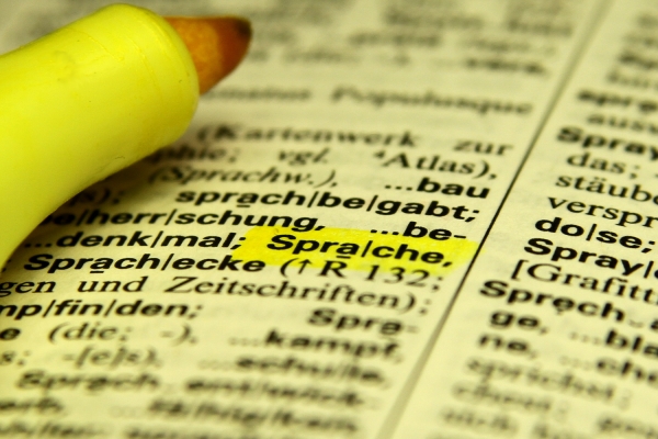 Lexikon Wörterbuch