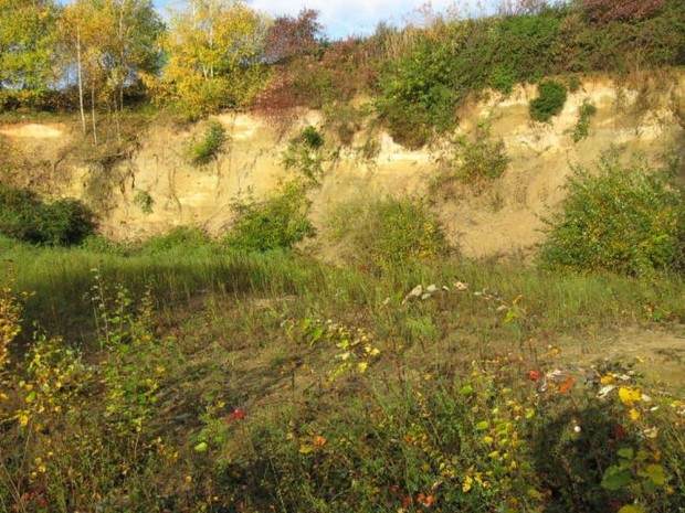 Naturschutzprojekt