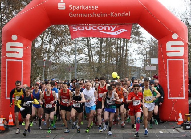 Startschuss beim Bienwald-Marathon.      Fotos: pfalz-express.de/Licht