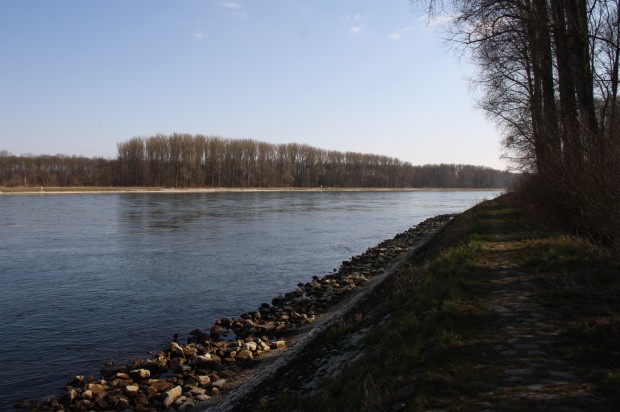 Rhein bei Germersheim