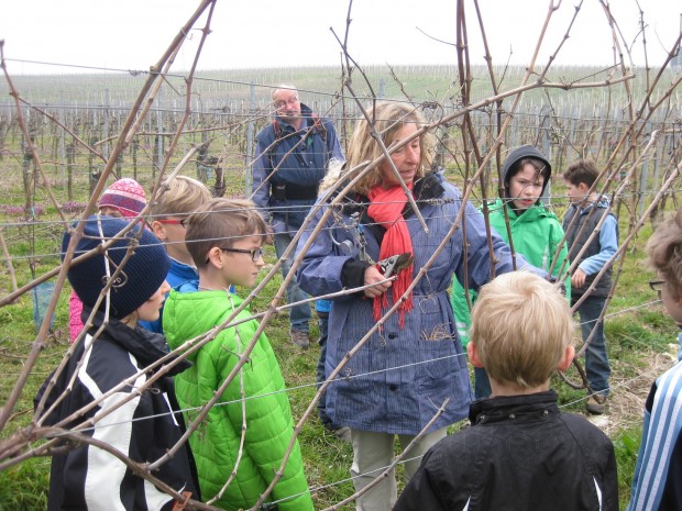 kinderwingert1