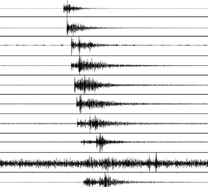 Seismografische Aufzeichnung eines Erdbebens. Foto: red