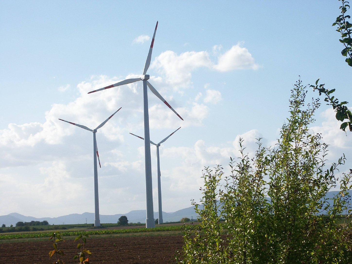 Windpark Gollenberg. Foto: pfalz-express.de
