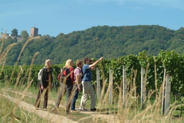 Wandern