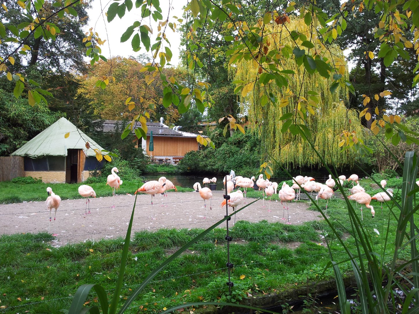 Flamingo-Anlage im Landauer Zoo. Foto: Pfalz-Express/Ahme