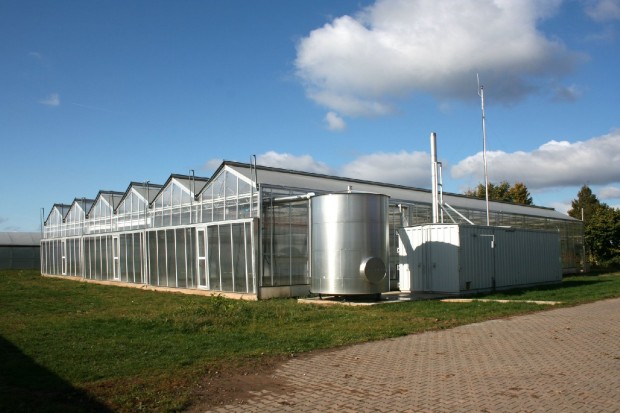 ZINEG-Schifferstadt (2)