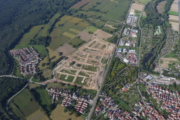 Abtswald Teil C