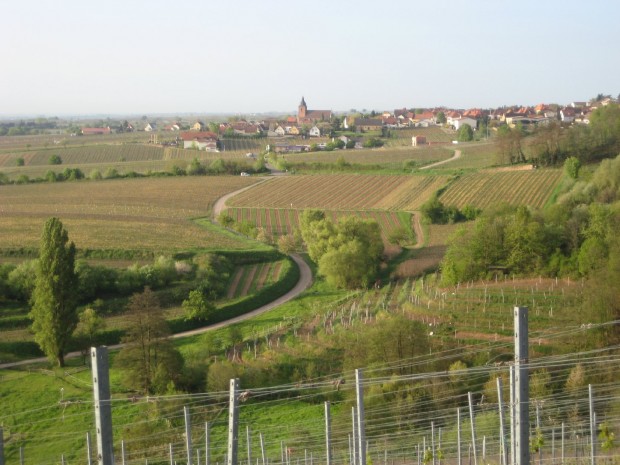 lieblingsplätzel/Knauff