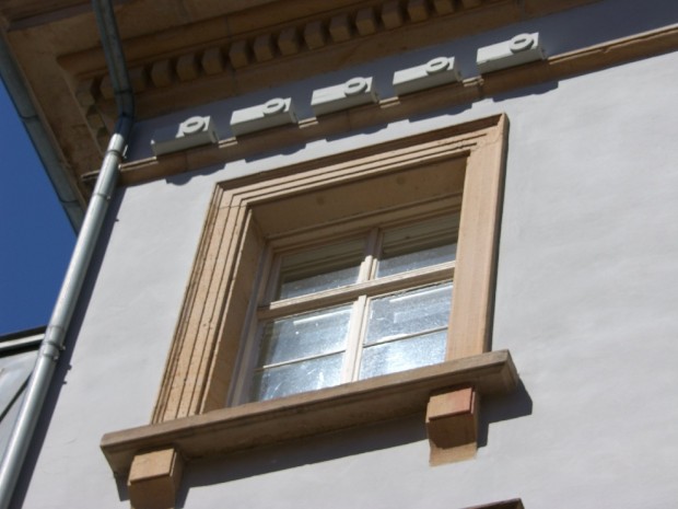 Mauersegler-Nistkästen-Rathaus/Pfalz-Express/Ahme