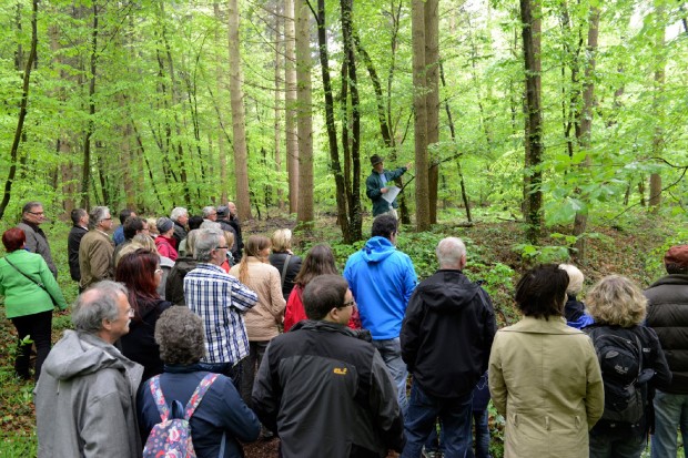 Schoppebähnel Jockgrim Kreis Germersheim 3