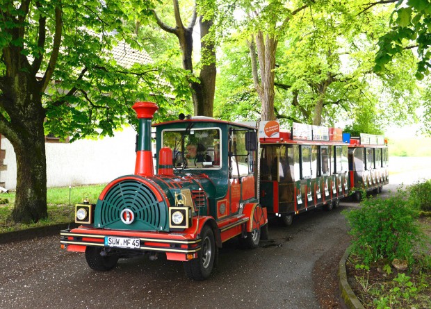 Schoppebähnel Jockgrim Kreis Germersheim 5