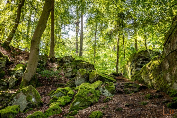 Teufelsschlucht (c)
