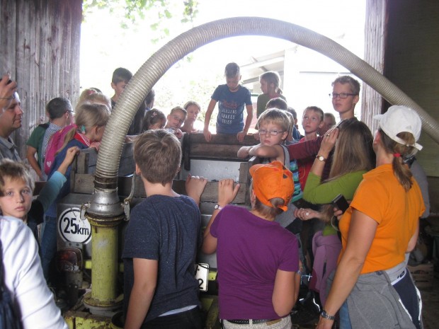 kinderwingert