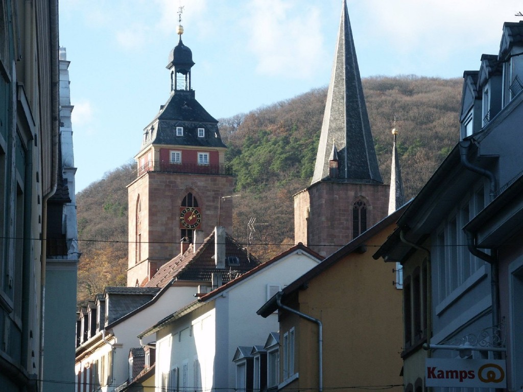 Blick auf die Neustadter Stiftskirche. Foto: Pfalz-Express/Ahme