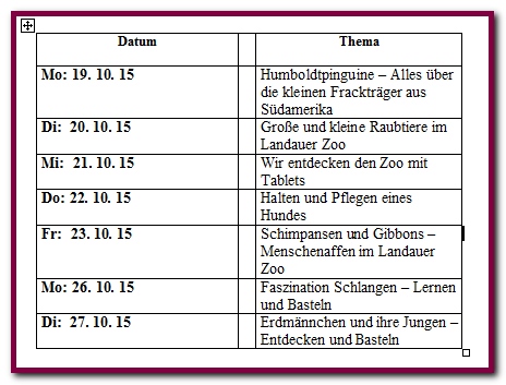 programm-zoo