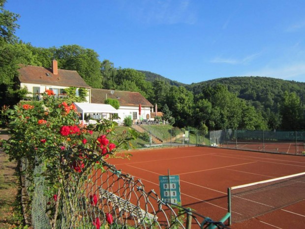 Der Tennisclub verfügt über eines der schönsten Vereinsgelände in der Region, den Rosengarten. Foto: tc edenkoben