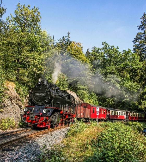 Am 30. März macht die Dampflokomotive 99 6001 Station in Neustadt an der Weinstraße. Foto: (HSB/Dirk Bahnsen)