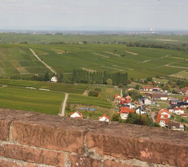 Blick von Burg Landeck in Klingenmünster. Foto: pfalz-express.de