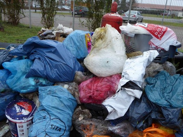 Müllsammeln wie hier in Rheinzabern brachte im gesamten Kreis Unschönes zutage. Foto: Beil