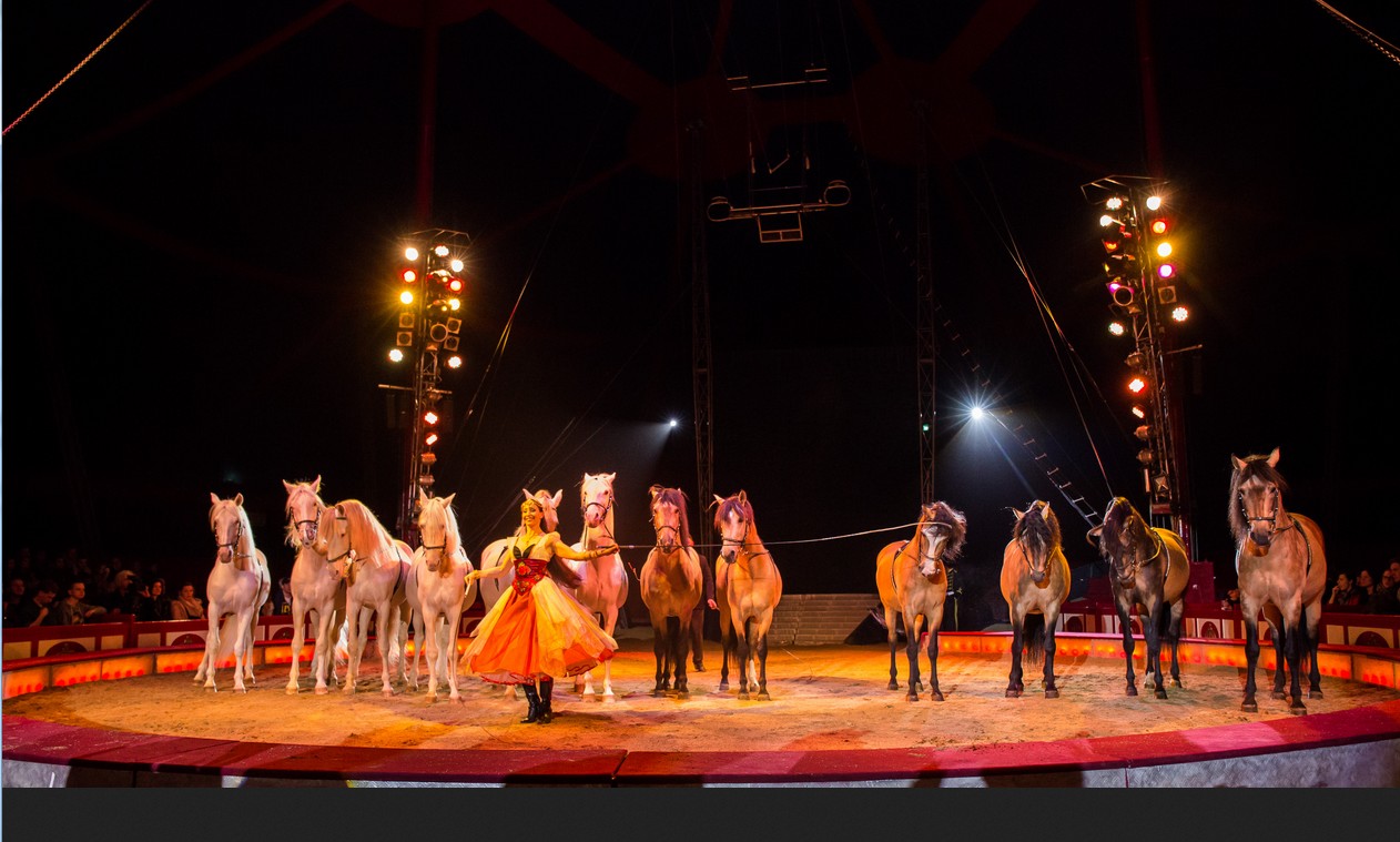 Jana Mandana Lacey-Krone: Hier mit einer Pferdedressur, ist Juniorchefin im Circus Krone. Foto: circus krone