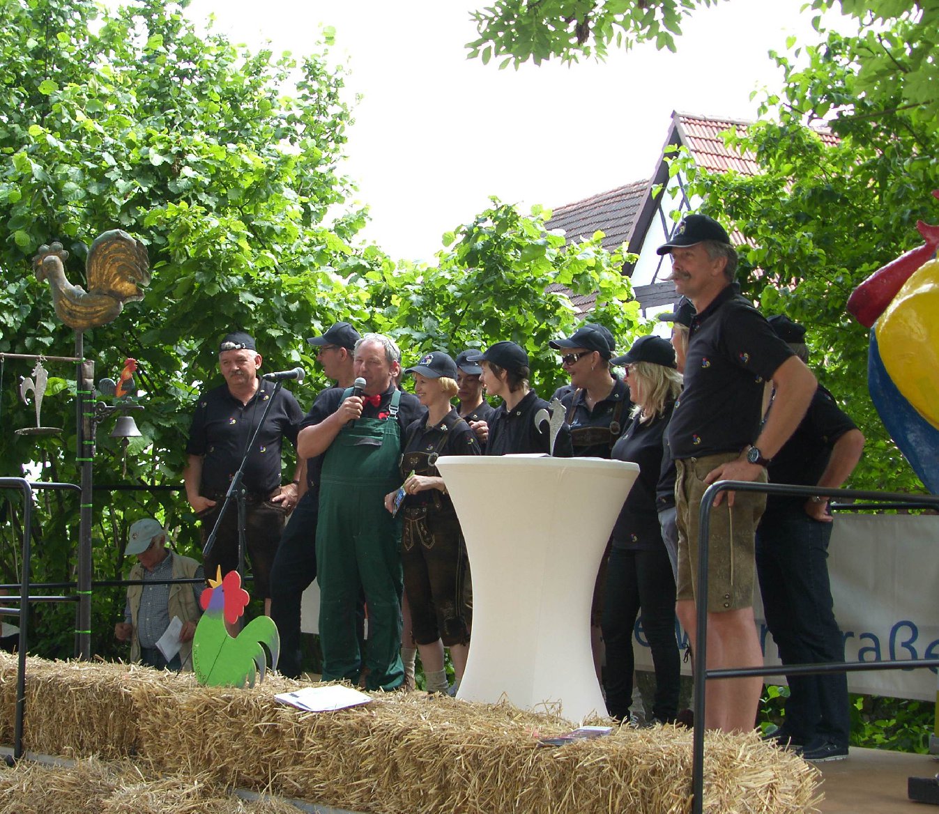 Die Österreicher könnens auch. Foto: Pfalz-Express/Ahme