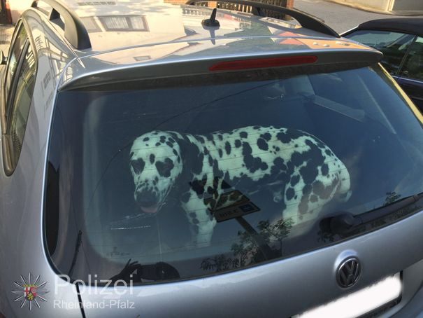 Ein paar Minuten im heißen Auto reichen aus, um das Leben des Hundes zu gefährden.  Archivbild: Polizei RLP