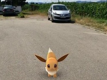 Süß sind sie ja, lenken aber vom Verkehr ab. Foto: Pfalz-Express