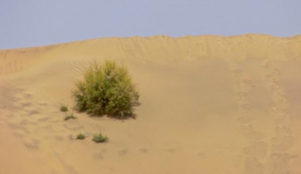 Was könnte sich hinter der Düne verbergen?