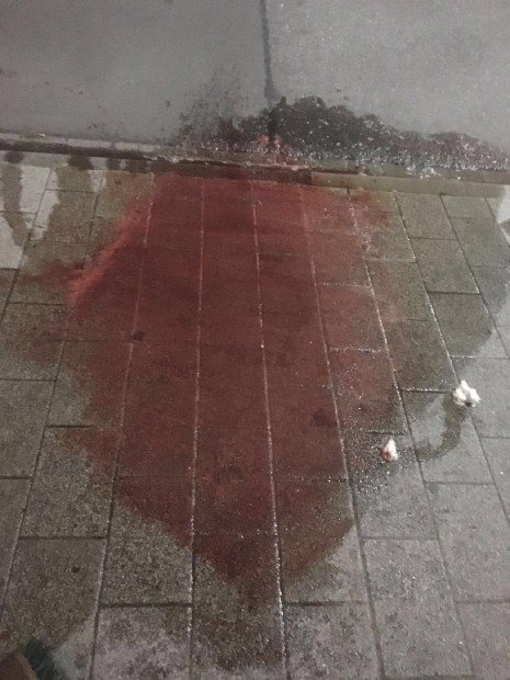 Eine große Blutlache zeugt von dem enormen Blutverlust. Foto: privat