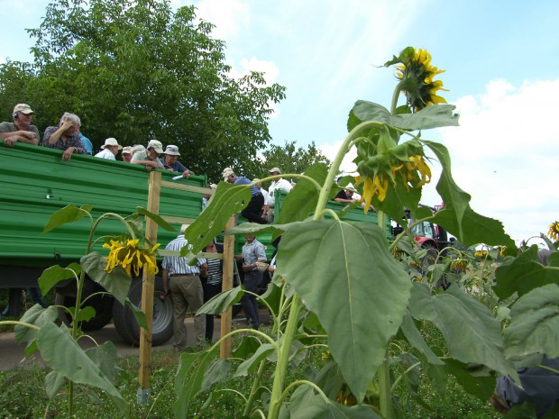 Hoch auf dem grünen Erntewagen besichtigten die Gäste einige der neu eingerichteten Blühflächen. Foto: Pfalz-Express/Ahme