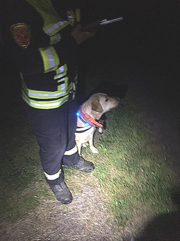 Bei der Vermisstensuche wurde auch ein Spürhund eingesetzt. Foto: ff landau-land