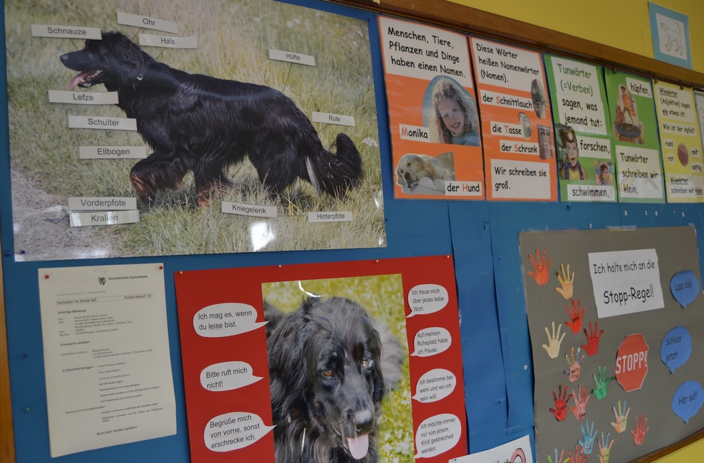 Die 3a arbeitet nicht nur regelmäßig mit Enzo, sie absolviert auch eine Unterrichtseinheit zum Thema Hunde, in der sie das Verhalten, die Geschichte und die Biologie des Haushunds kennenlernt. Foto: stadt-landau