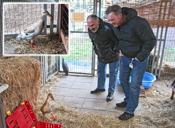 Gans "Gussi" mit zwei ihrer Retter. Foto: über Manfred Anker