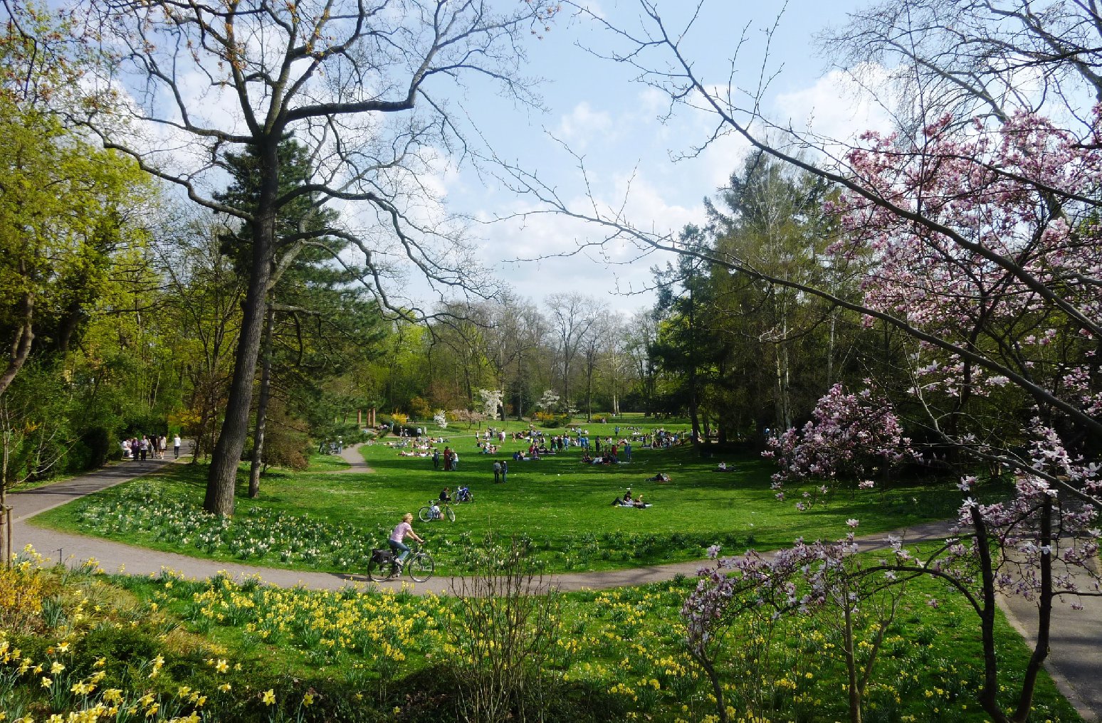 Grünflächen wie der Landauer Goethepark sind wichtig für das Klima einer Stadt – vor allem im Sommer. Ein Klimaanpassungskonzept, wie es auch die Stadt Landau erstellen lassen will, soll die Auswirkungen des Klimawandels abmildern. Dies kann etwa durch das Pflanzen von Bäumen oder das Verknüpfen einzelner Grünflächen geschehen. Foto: ld