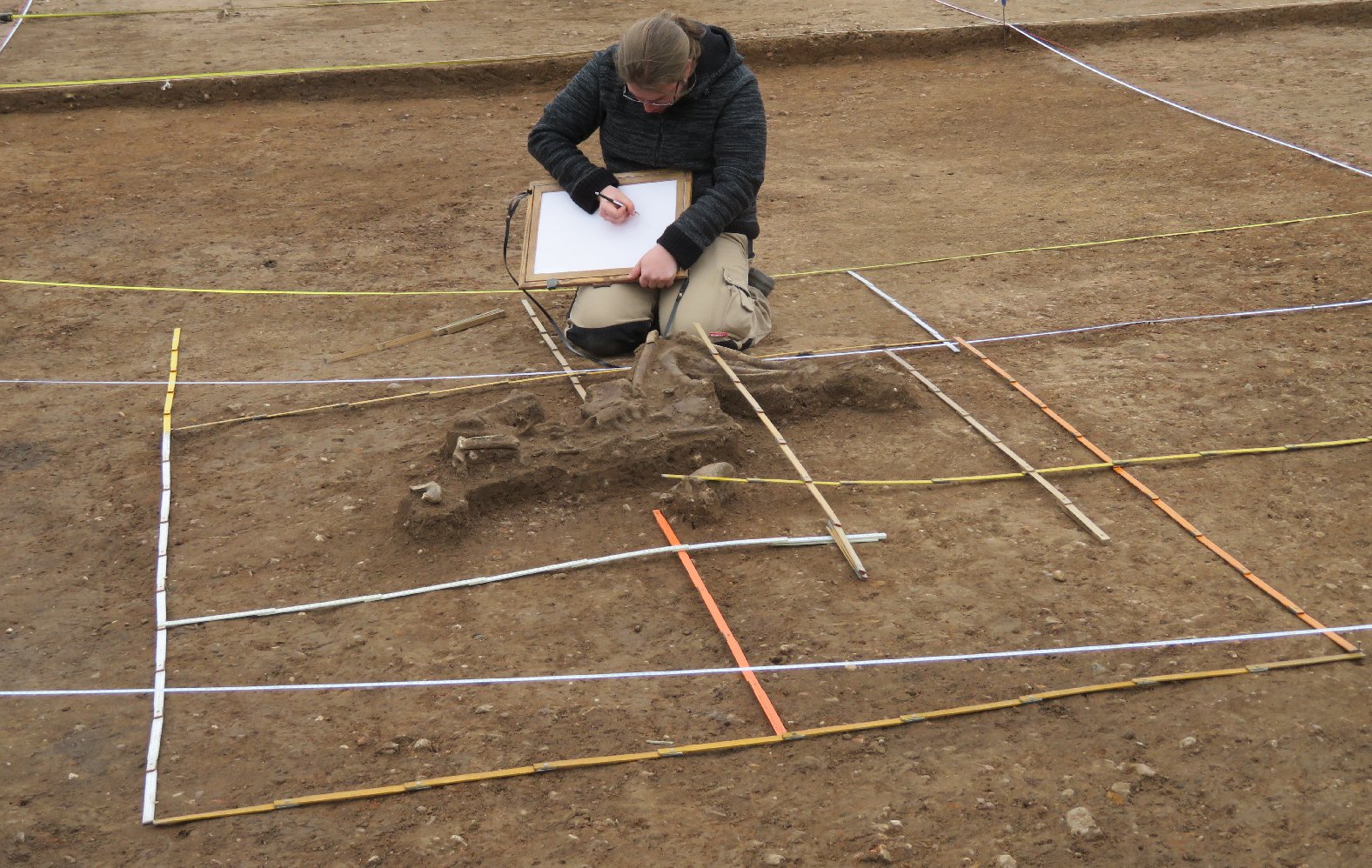 Ein Skelett wurde vor ein paar Tagen durch die Archäologen ausgegraben. Foto: red
