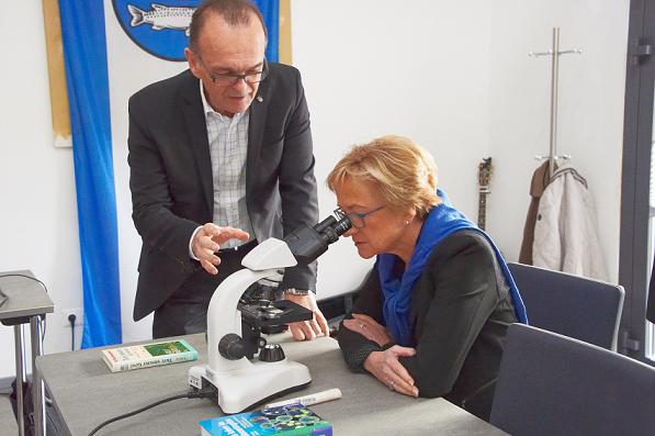 Blick durchs Mikroskop unter fachlicher Anleitung: Landtagsabgeordnete Barbara Schleicher-Rothmund (SPD). Foto: Franz Geschind