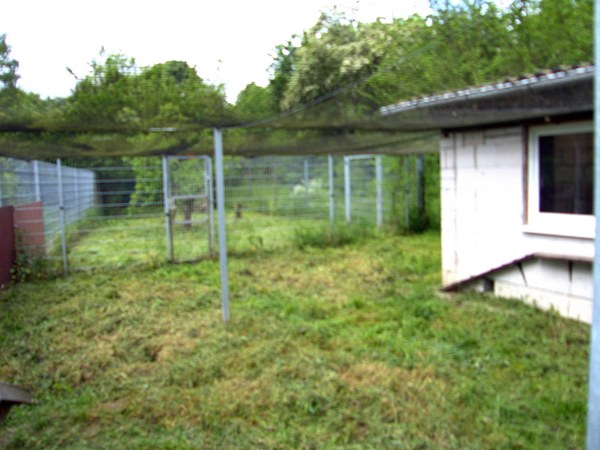 Hier könnte ein Wildtierbereich entstehen. Foto: Pfalz-Express/Ahme