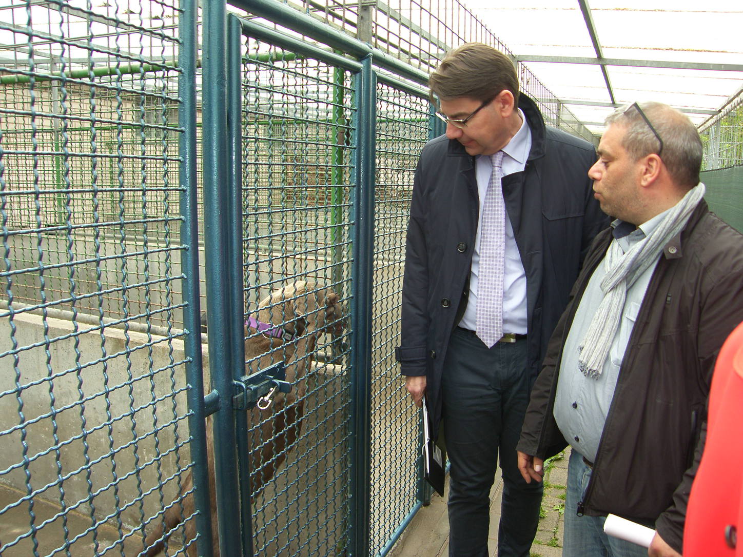 Besuch bei den Bornheimer Hunden. Foto: Pfalz-Express/Ahme