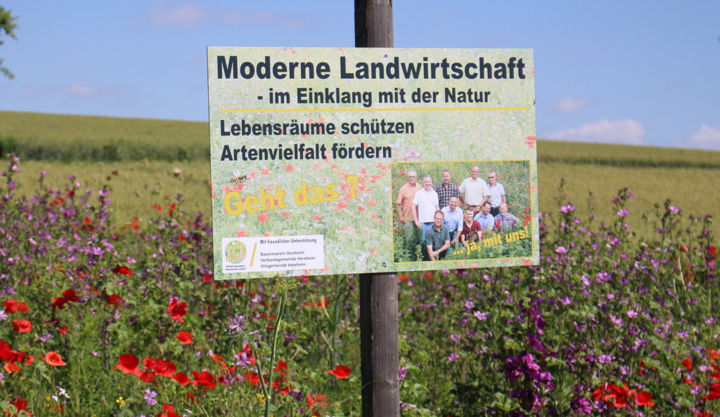 Herxheim blüht, Landwirte, Bauernverein, Blühstreifen, Biodiversität, Arterhaltung, Detzel, Müller - 5