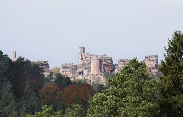 Die Burg Altdahn im Herbst. Foto: gdke rlp